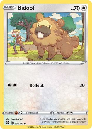 Bidoof 120/172 SWSH09 Brilliant Stars - Common