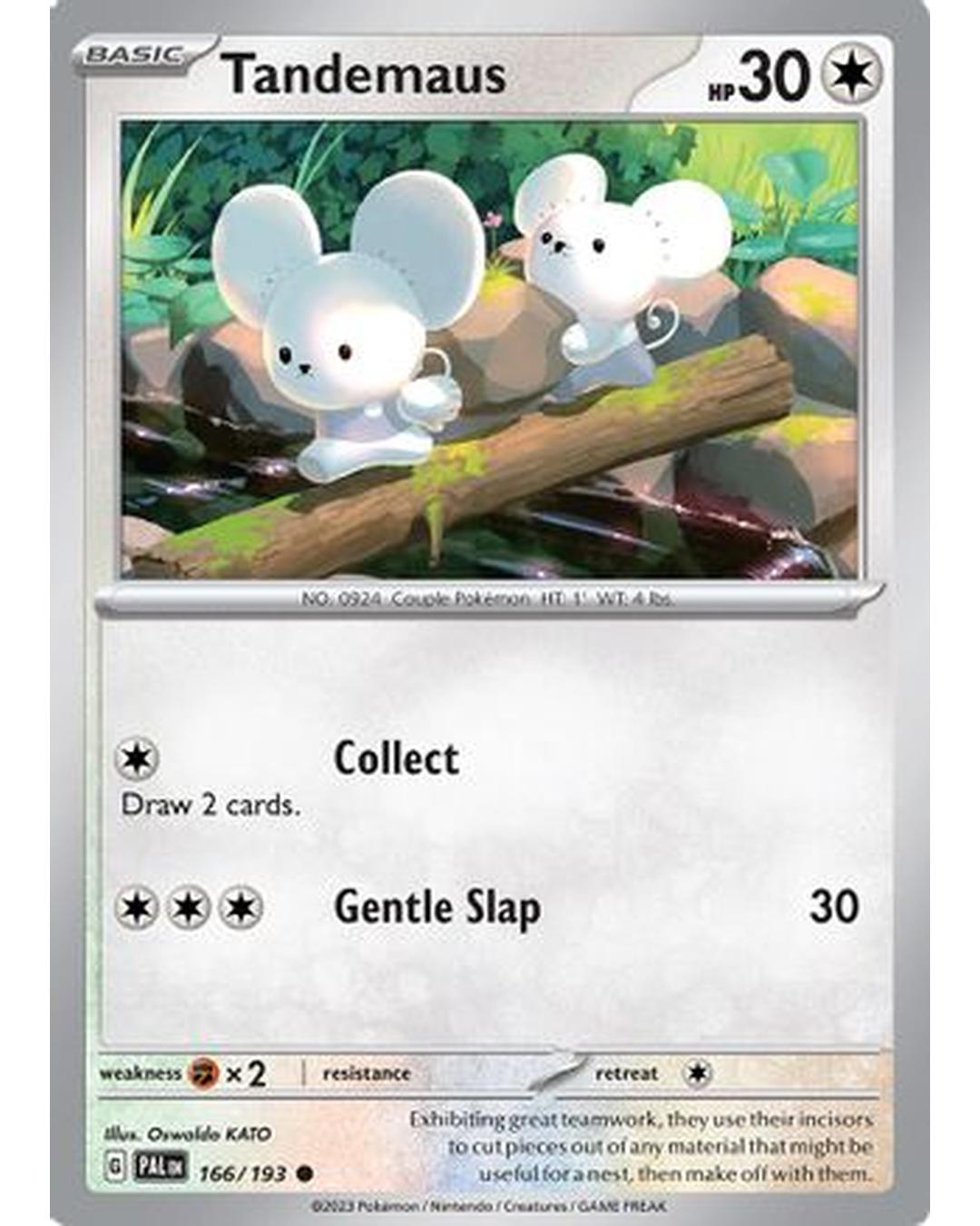 Tandemaus 166/193  SV02 Paldea Evolved - Common