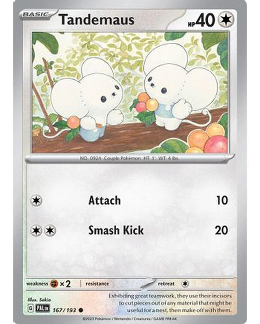Tandemaus 167/193  - Reverse Holofoil SV02 Paldea Evolved - Common