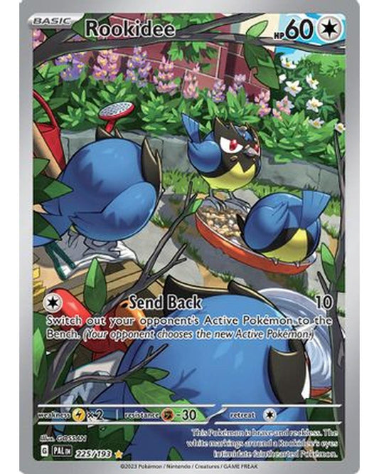 Rookidee 225/193  - Holofoil SV02 Paldea Evolved - Illustration Rare