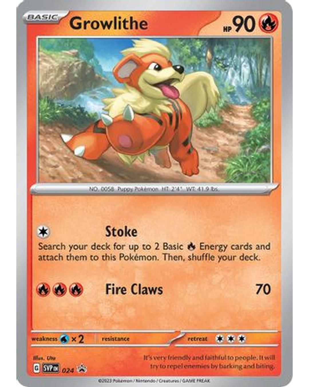 Growlithe 024  - Holofoil SV Scarlet & Violet Promo Cards - Promo
